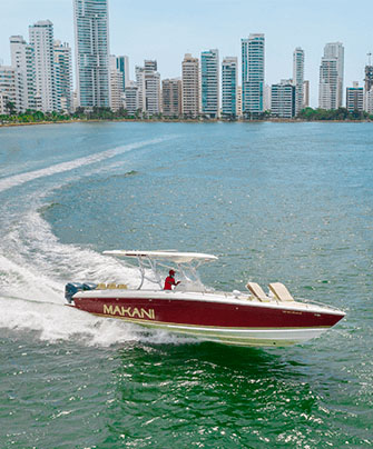 29 ft speed boat parked at marina before a private charter