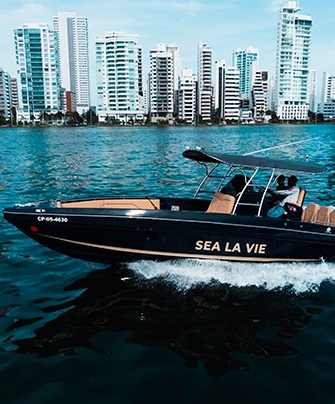 29 ft speed boat with comfortable seating for island hopping