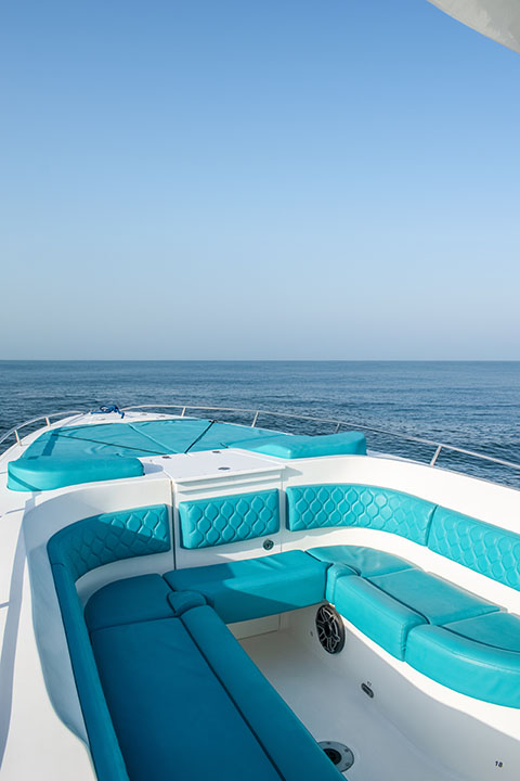 29 ft speed boat parked at marina before a private charter