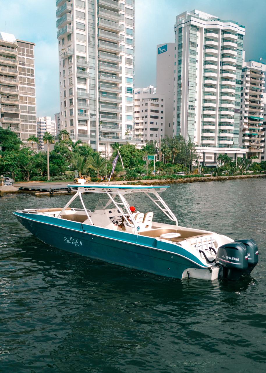 29 ft speed boat parked at marina before a private charter