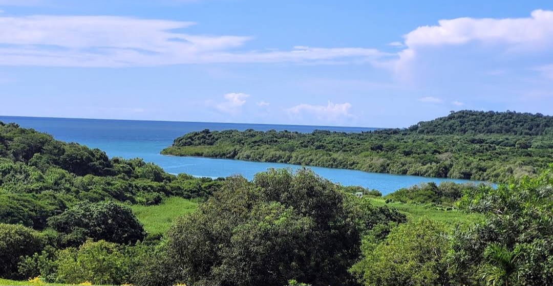 An image of Cienega de los Vasquez, one of the available destinations for Cartagena Party Boats' private or shared parties